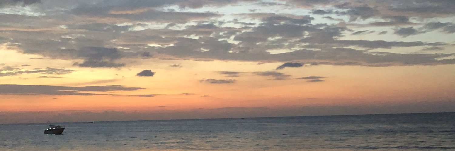 pppoq_'s profile banner image