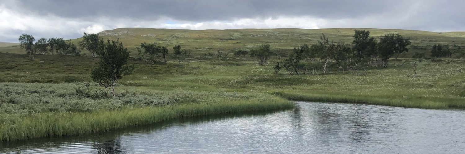 alexanderlundin's profile banner image
