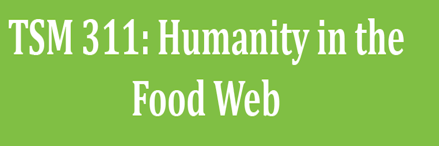 humanfoodweb's profile banner image