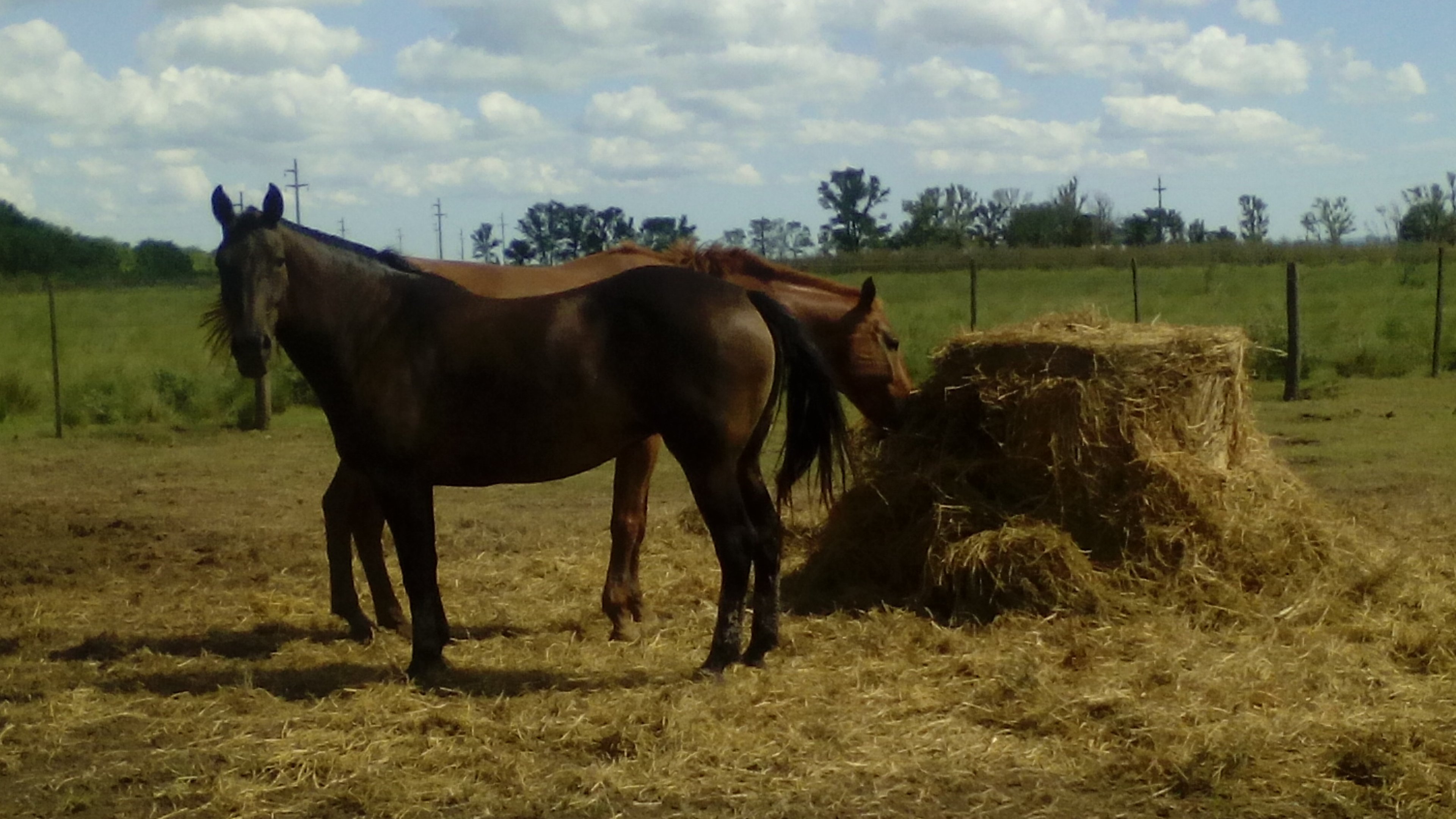 Gustavo112R's profile banner image