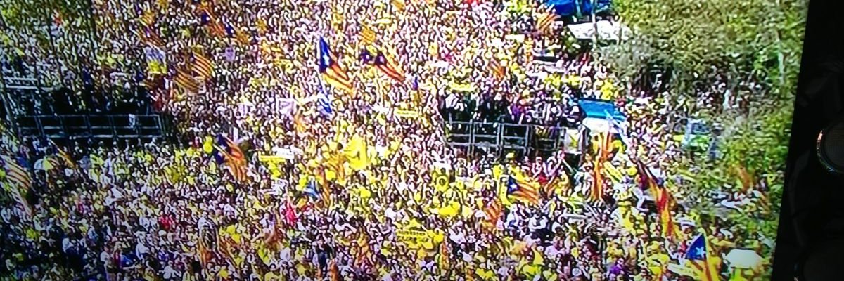 indignatss's profile banner image
