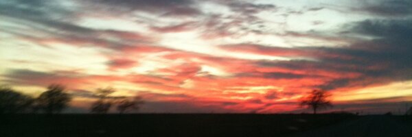 Tina_Mauldin Profile Banner