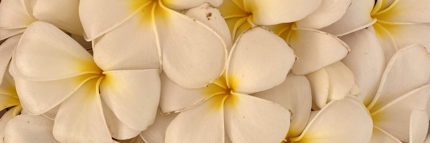 Emmacambodia's profile banner image