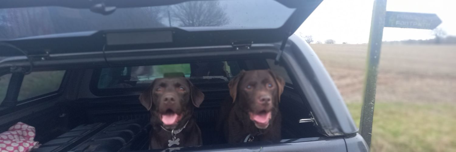 Ted_Choc_Lab's profile banner image