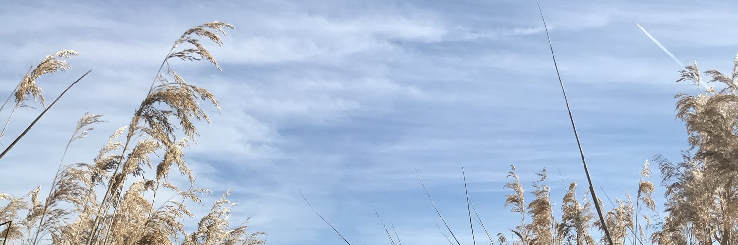 ACarjonamor's profile banner image