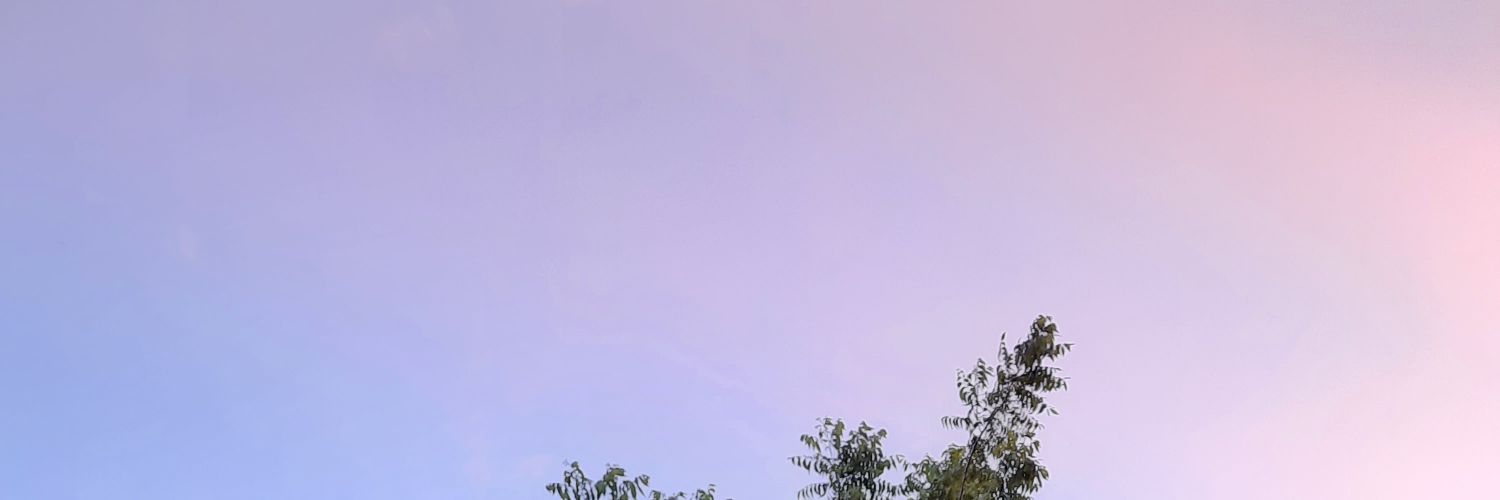María José banner