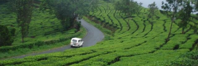permendrakumar's profile banner image