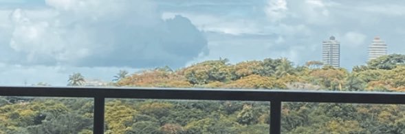 LagoMiguelc's profile banner image