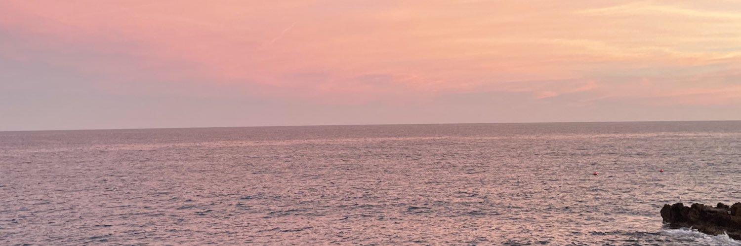 hellcow's profile banner image