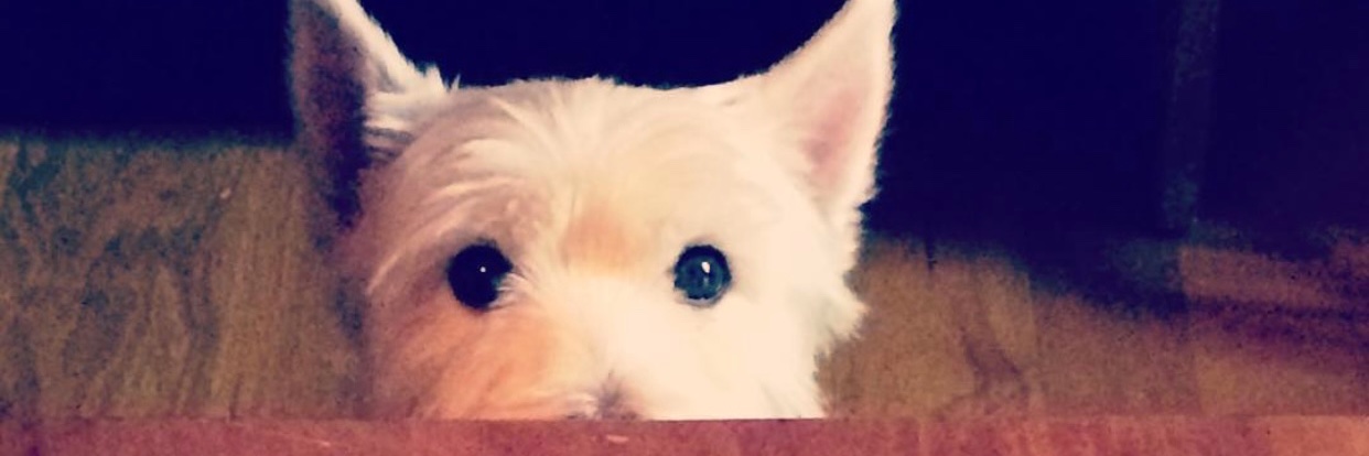 dnatkins7's profile banner image