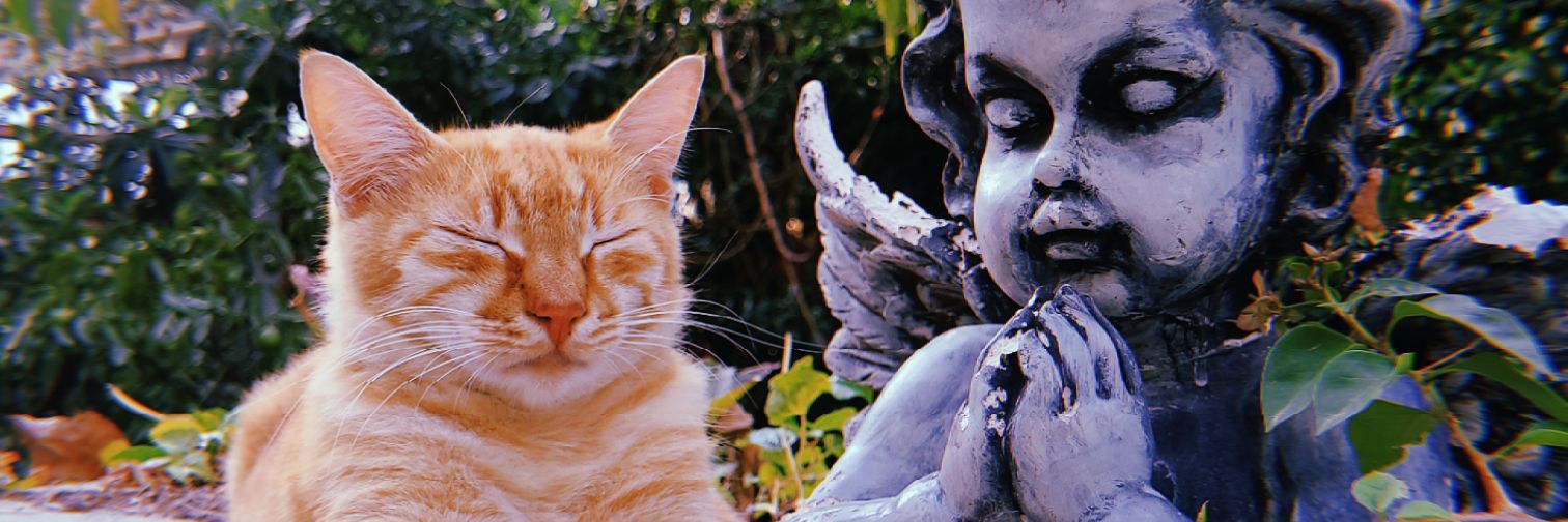 enisebb's profile banner image