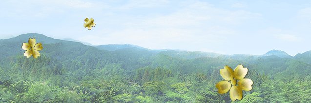 nuconucoarc's profile banner image