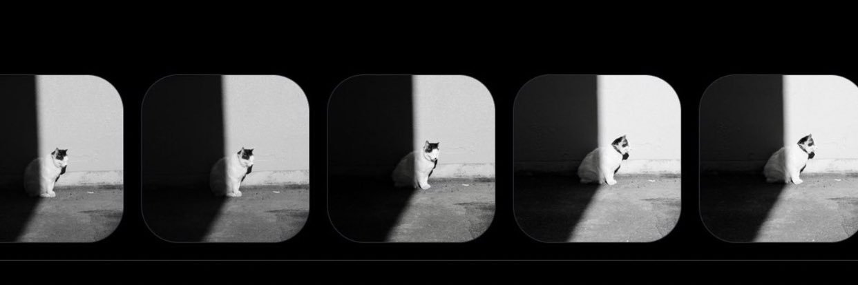 Royroy_0712's profile banner image