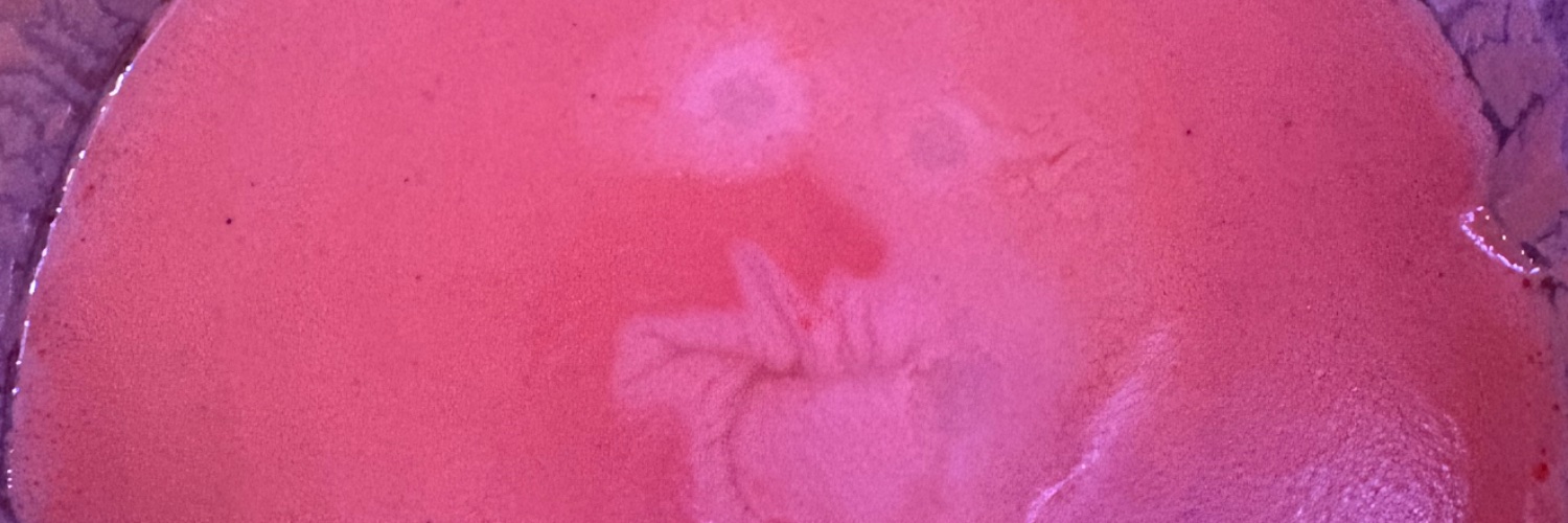 ykbgab's profile banner image