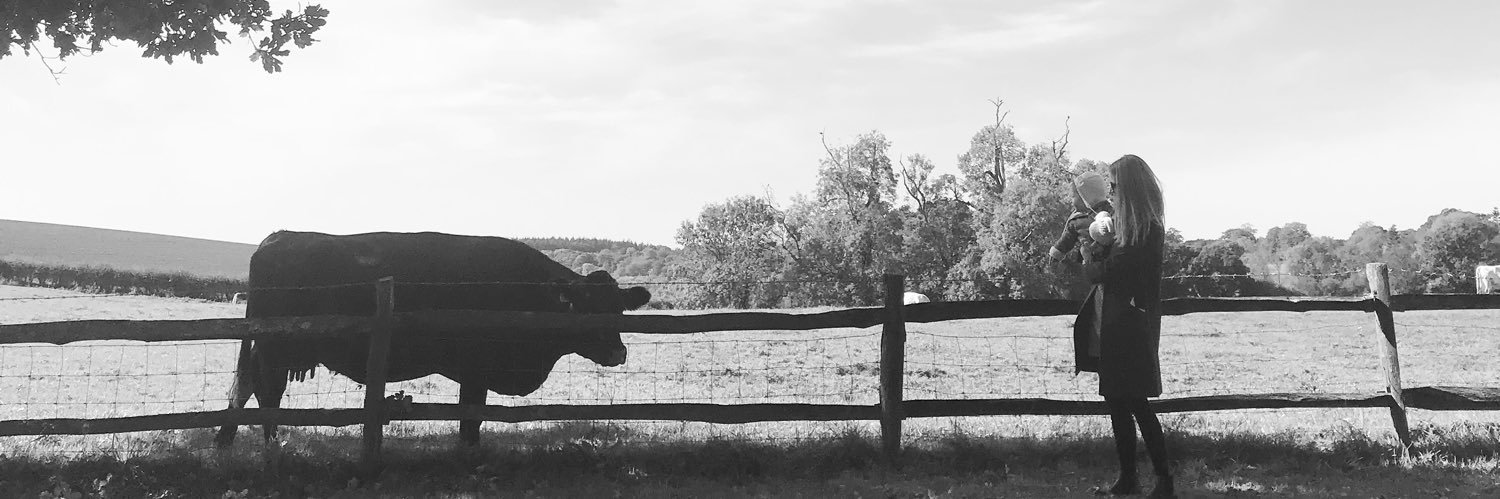 CreativeFlynn's profile banner image