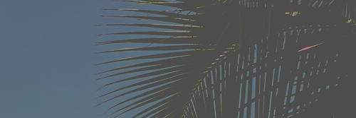 CameronRPGFSV's profile banner image