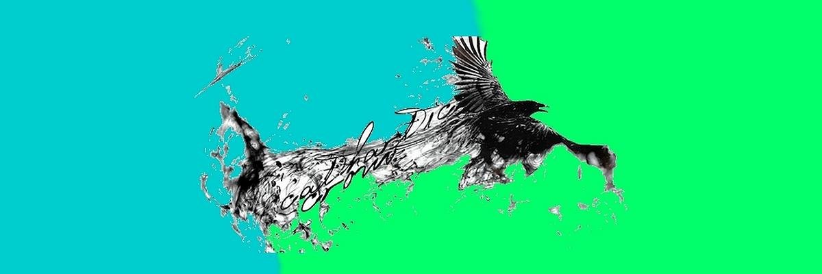 CatharticCrow's profile banner image