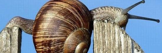 mdiazobregon75's profile banner image