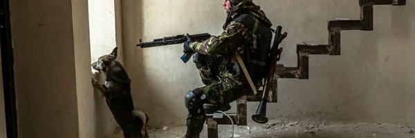PeterBDoran Profile Banner