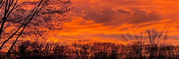 mpakiela Profile Banner