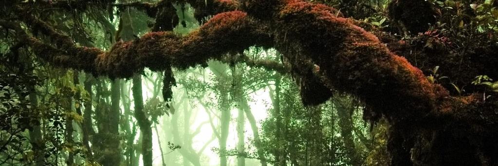 Antrob73's profile banner image