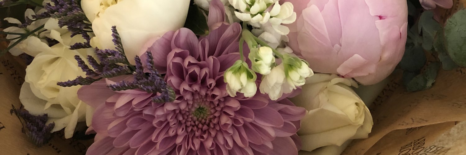 Laura Bermingham banner