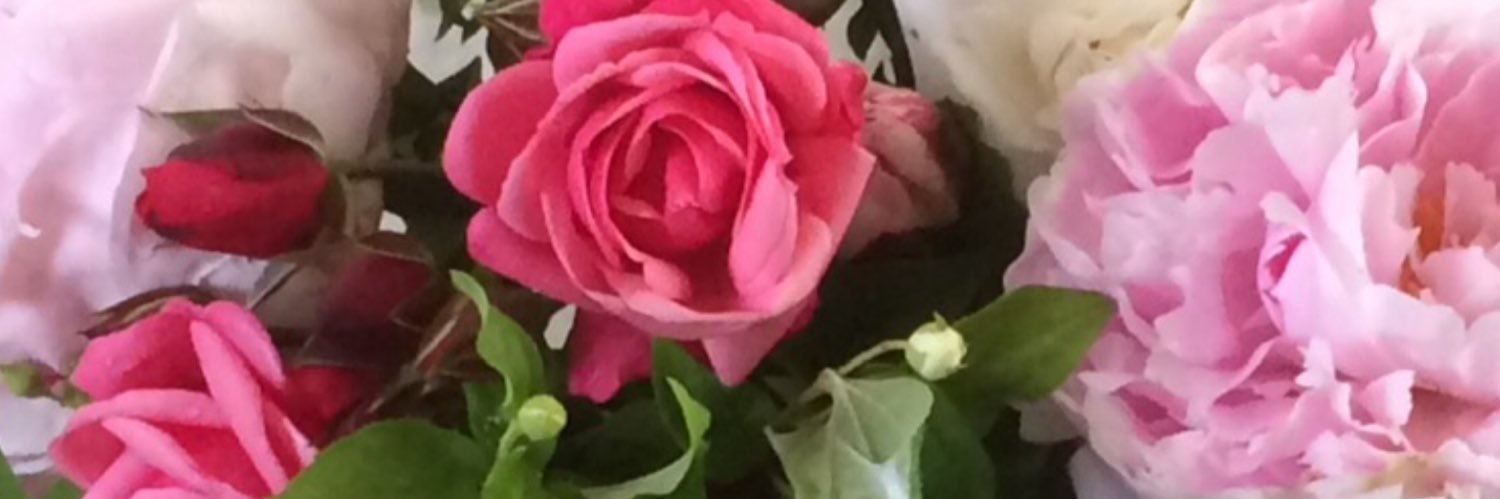 alayne2310's profile banner image