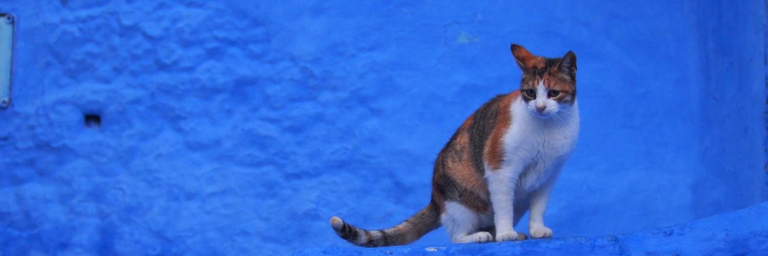 mikyamaf's profile banner image