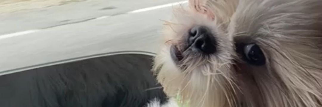 Fagner_021's profile banner image