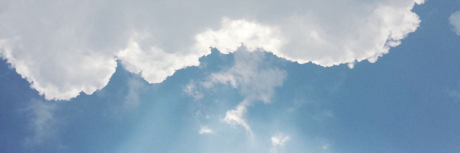 rikiherrera's profile banner image
