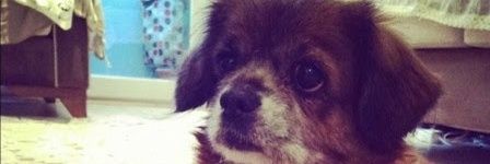 Dencatss's profile banner image