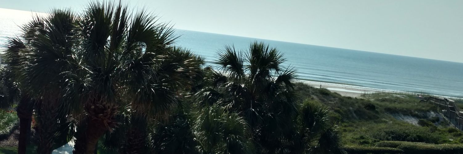 WandaBHope's profile banner image