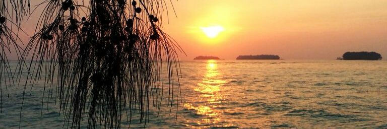 dewi__ratih's profile banner image