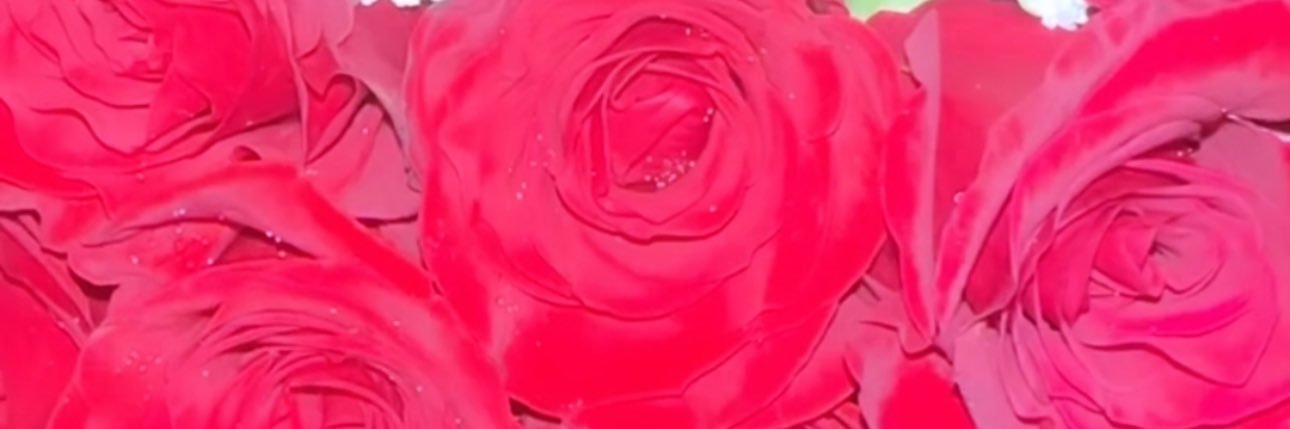__xokk's profile banner image