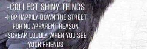 Trevor 🇨🇦 banner