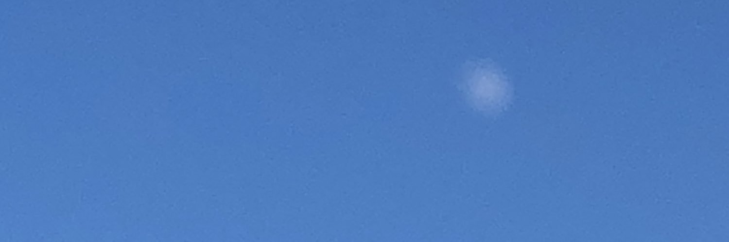 RonnCousteau's profile banner image