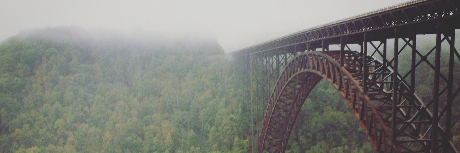 Candace Lee banner