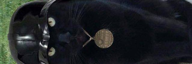 ceugenion's profile banner image