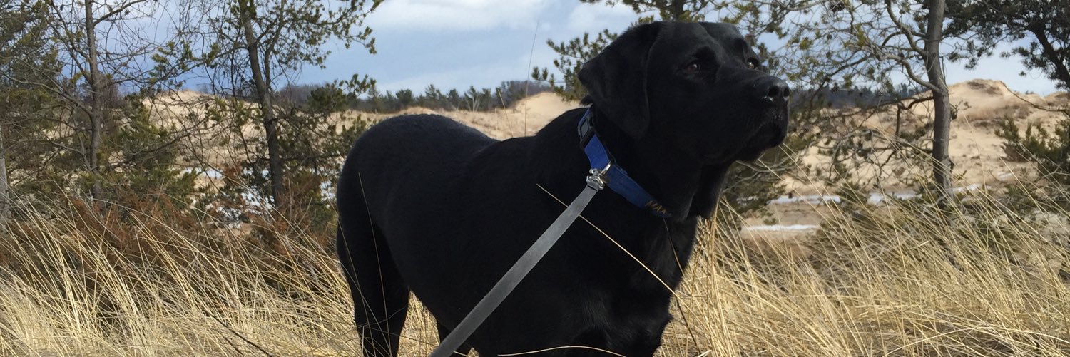 Lt. Maxwell Edison banner