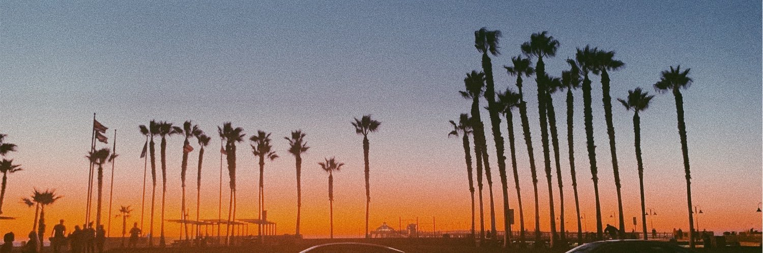lexi billie banner
