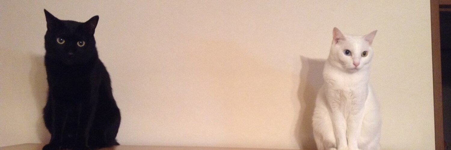BUMP3710's profile banner image