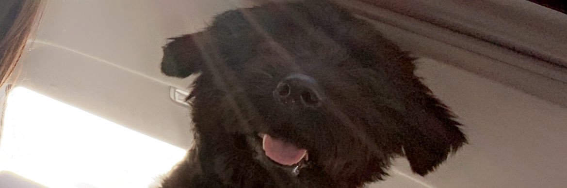 laynnne___'s profile banner image