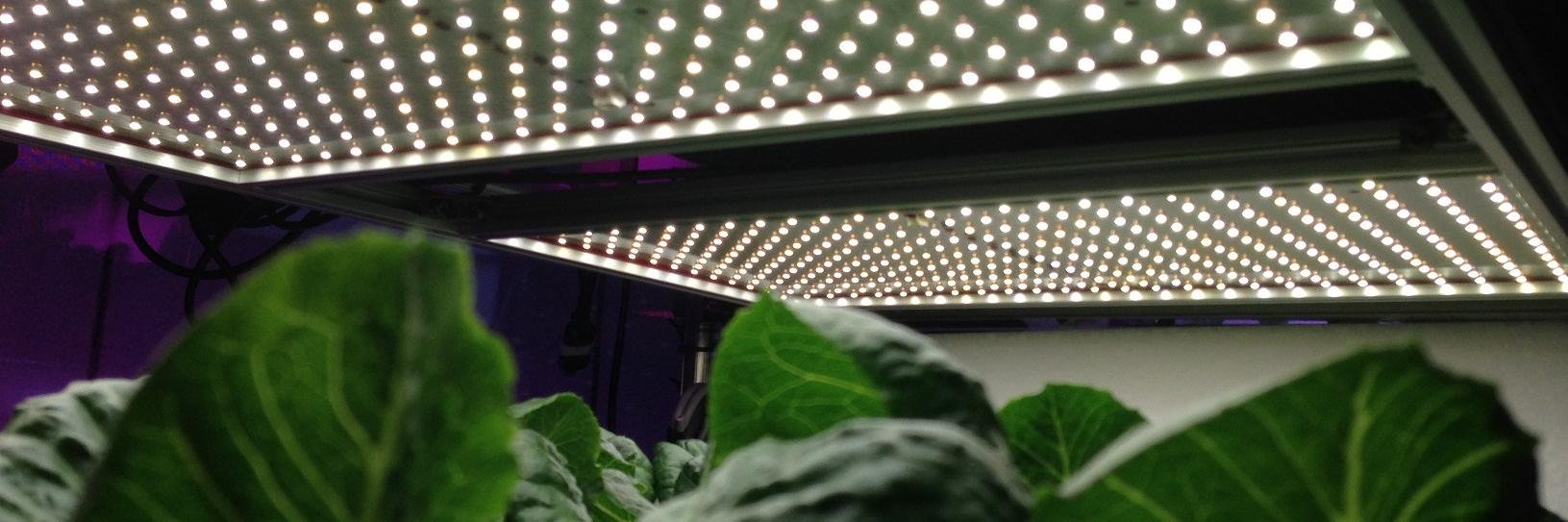 Agrivolution's profile banner image