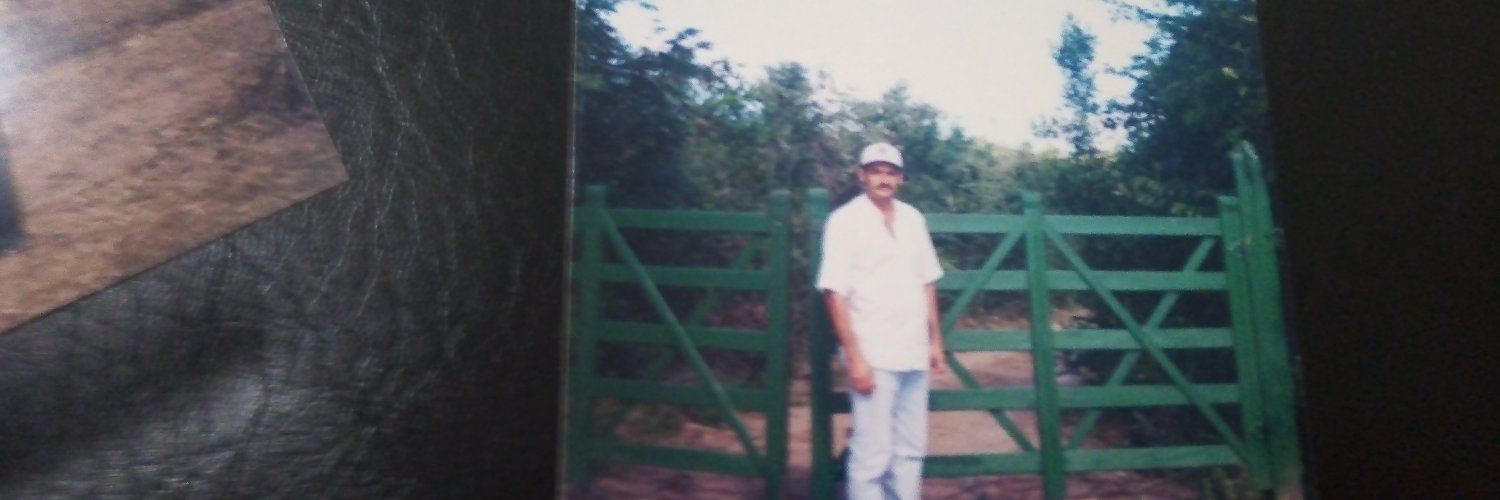 adroaldoli's profile banner image