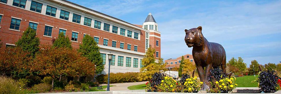 Mizzou Business Career Services banner