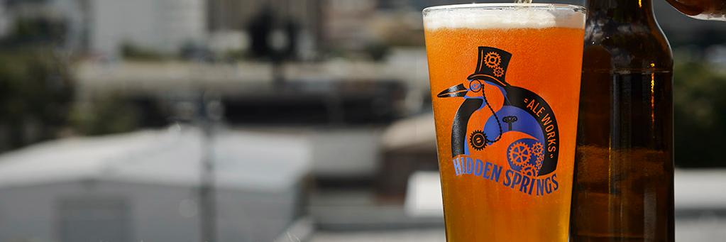 Hidden Springs Ales banner