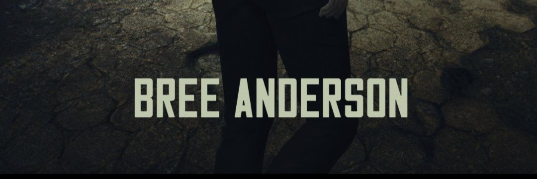BreeInTheWorks's profile banner image