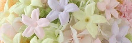 oto_hama's profile banner image