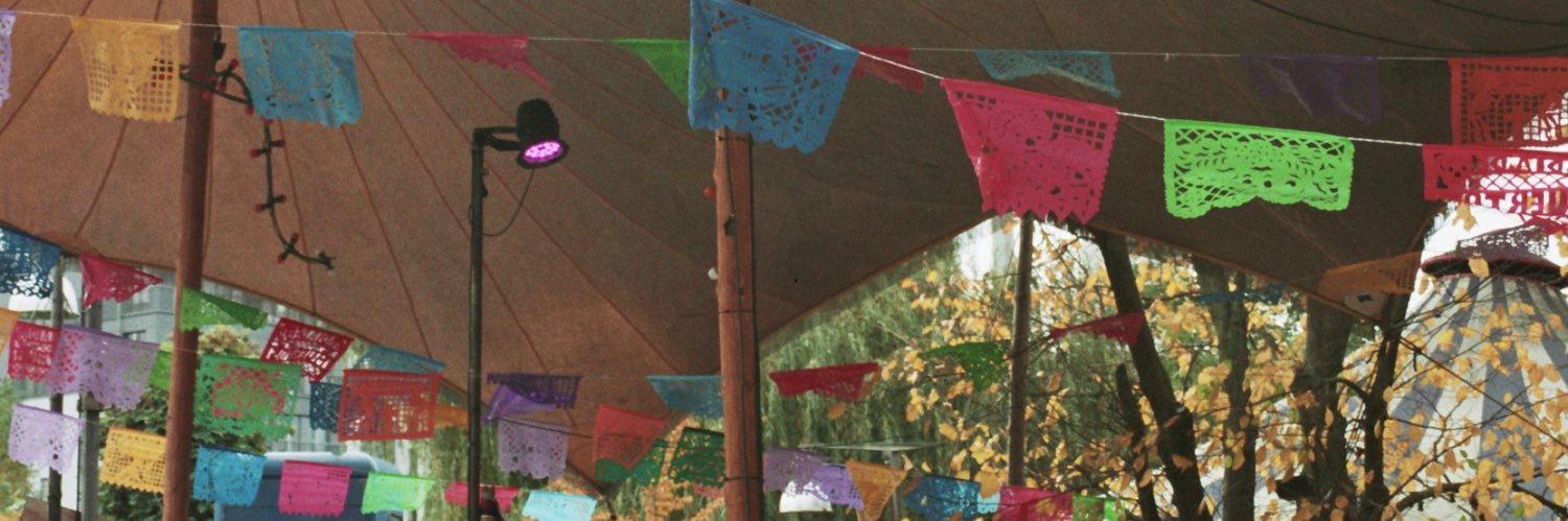 ǝʇuǝſ banner