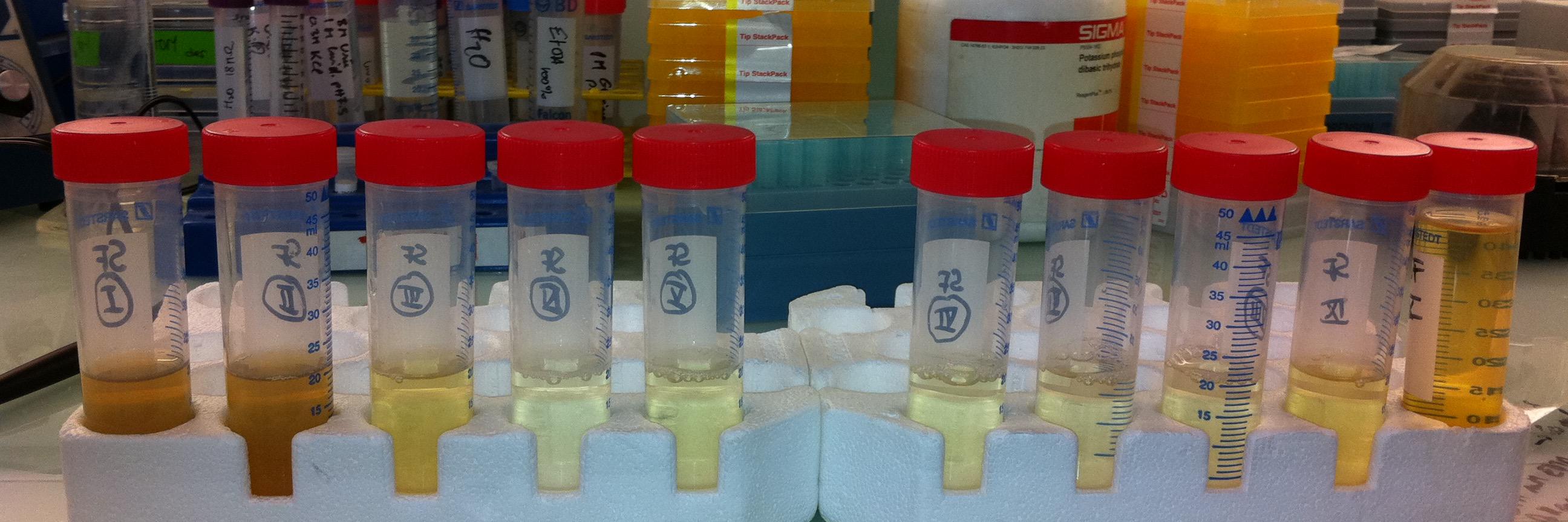 Frédéric Dardel banner